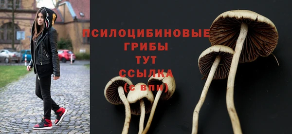 молекула духа Куйбышев