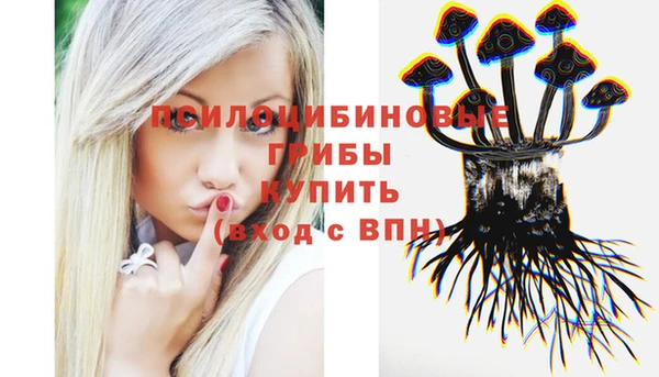 ешки Лагань