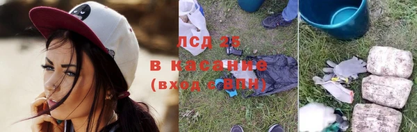 соль ск Кукмор