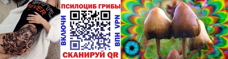 Галлюциногенные грибы Psilocybe  Купить где  Спасск 